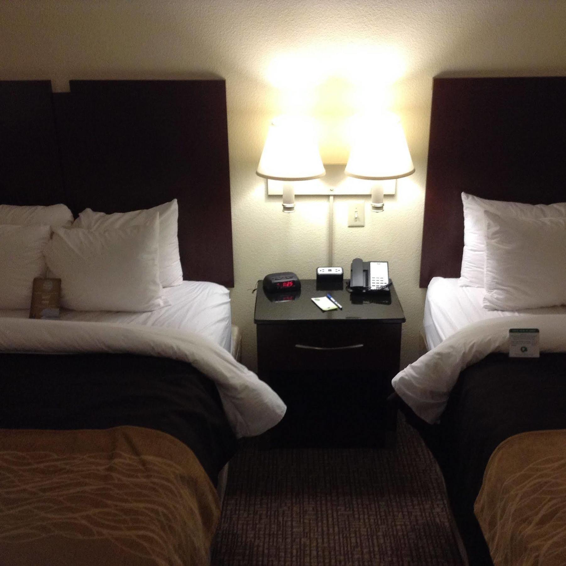 קולומביה Comfort Inn & Suites Ftjackson Maingate מראה חיצוני תמונה