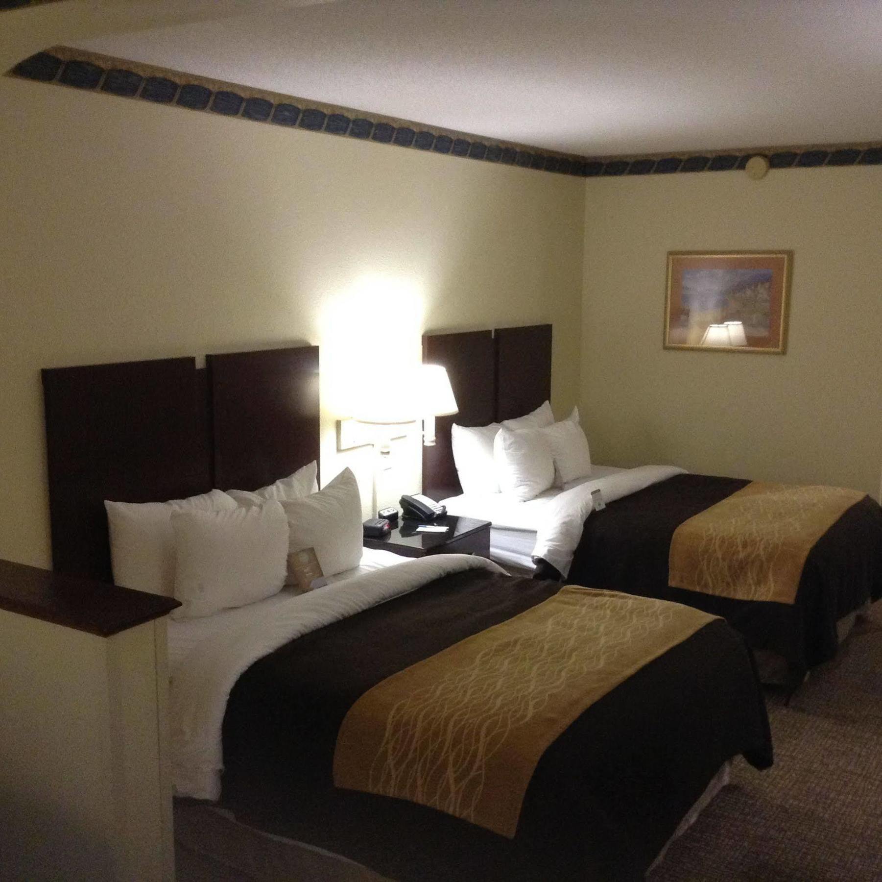 קולומביה Comfort Inn & Suites Ftjackson Maingate מראה חיצוני תמונה