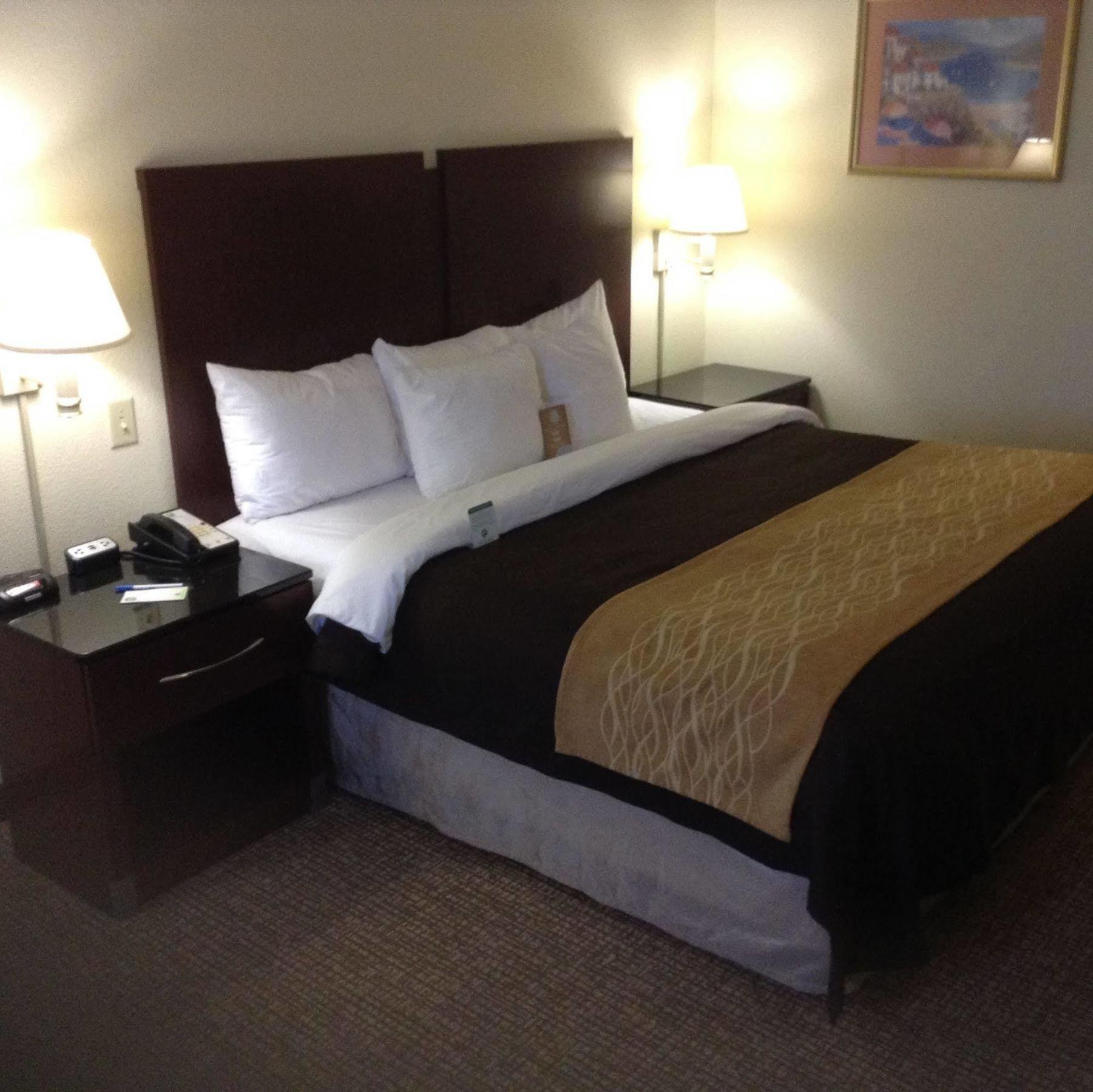 קולומביה Comfort Inn & Suites Ftjackson Maingate מראה חיצוני תמונה